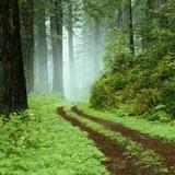 Photo of BiegamNaPalcach