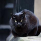 Athletic Tytus Kraków