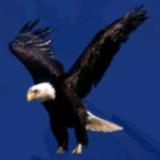 Trusted Stores to Buy Moody Wallpapers