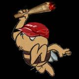 Pędzące Pszczółki